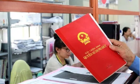 Các cá nhân kinh doanh bất động sản không được mua bán quá 10 lần một năm