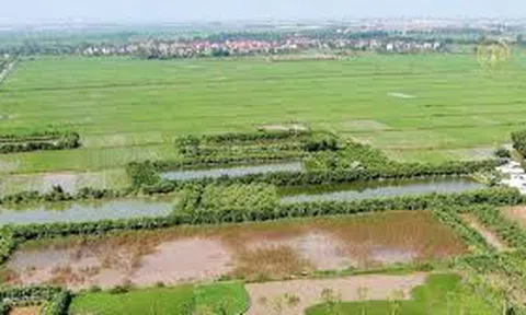 Chi tiết các loại đất không được thế chấp ngân hàng?