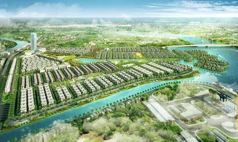 Habin Group của đại gia Trương Tiến Lực liên tục bị nhắc tên vì nợ bảo hiểm và thuế?