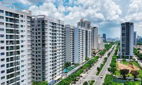 Diện Mạo Thị Trường Bất Động Sản 2024 Qua Diễn Biến Các Phân Khúc