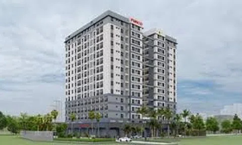 PIS đầu tư hơn 260 tỷ đồng xây dựng nhà ở xã hội tại Quy Nhơn, Bình Định