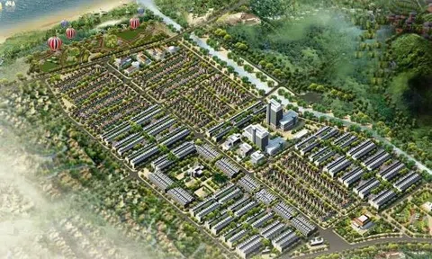 NTL lãi kỷ lục hơn 600 tỷ đồng, vượt xa kế hoạch năm 2024