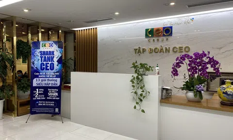 Năm 2024, CEO Group ghi nhận lợi nhuận sau thuế 169 tỷ đồng