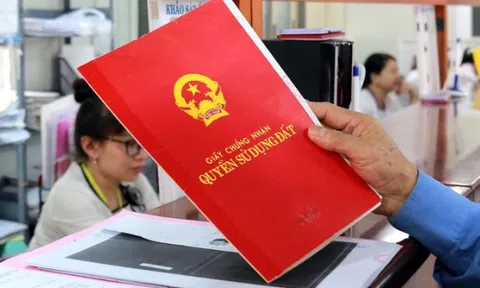 Thanh toán 1,42 tỷ đồng, một phụ nữ nhận 18 sổ đỏ giả