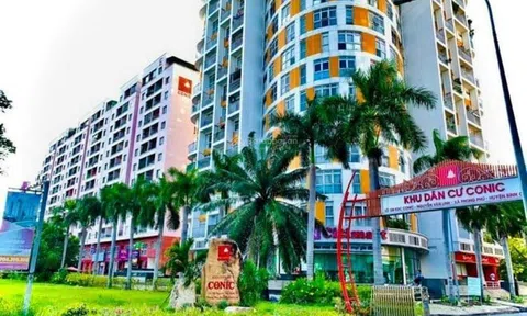 Trốn thuế 453 triệu, bị phạt gần 120 tỉ: Bài học đắt giá từ chung cư Conic Đông Nam Á