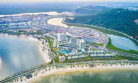 Công ty trong hệ sinh thái Geleximco huy động hơn 1.900 tỷ đồng qua phát hành trái phiếu để đầu tư dự án Đồi Rồng (Hải Phòng)