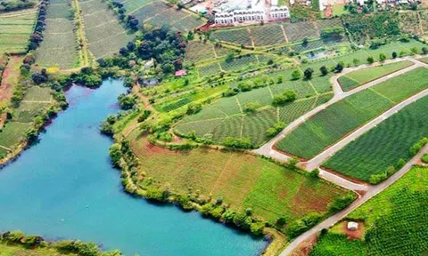 Lâm Đồng: Siết chặt quản lý, công khai thông tin quy hoạch và dự án bất động sản