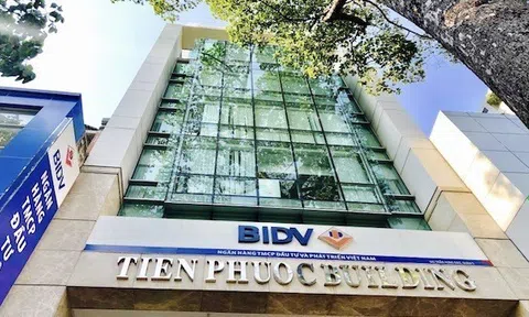 Tiến Phước bất ngờ lãi 452 tỷ, xóa sạch lỗ lũy kế sau nhiều năm thua lỗ
