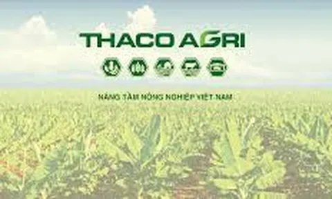 Thoát lỗ nhưng chưa thoát bóng quá khứ: Thaco Agri và hơn 1.300 tỷ đồng lỗ lũy kế