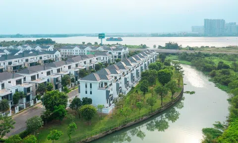 Alpha Land Group: “Ông lớn” bất động sản nhưng vẫn nợ thuế?