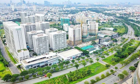 Hơn nửa căn hộ tại TP.HCM giá trên 100 triệu đồng/m²