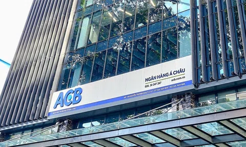 Thanh tra Chính phủ phát hiện gì trong hoạt động phát hành trái phiếu của ACB, VIB, OCB?