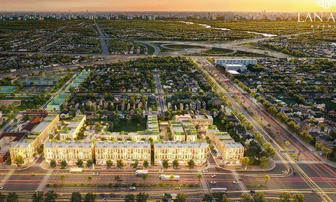 Thâu tóm BĐS Lan Anh, DXS đang nhắm tới điều gì sau chuỗi tái cấu trúc nội bộ?