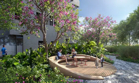 Sống wellness mỗi ngày: Bình yên chạm ngõ từng khoảnh khắc