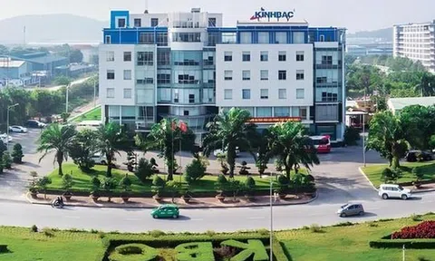 Doanh nghiệp bất động sản: Lãi tăng, nhưng cổ đông có được gì?