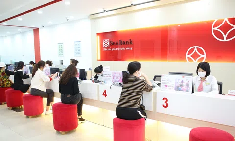 Thanh tra chỉ ra hạn chế trong công tác hoạt động tín dụng của SeABank Thái Nguyên?