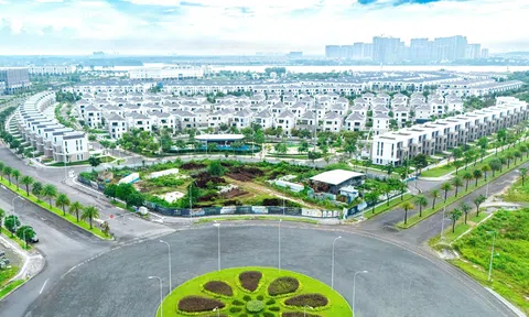 Novaland công bố tiến độ hoàn thiện đại đô thị Aqua City – khẳng định nỗ lực phục hồi và phát triển bền vững