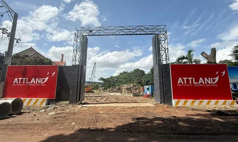 Art Stella: Dự án đang rao bán rầm rộ giữa lúc thi công móng cọc, ai chịu trách nhiệm với người mua?