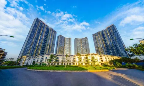 Sunshine Homes chuyển nhượng gần 1.500 tỷ đồng để làm gì trong chiến lược tái cơ cấu?