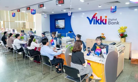 Vikki Bank Bình Dương còn những tồn tại nào sau đợt thanh tra?