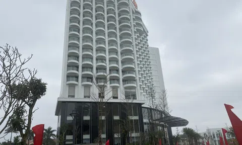 Vì sao Hải Phòng quyết định thu hồi 2,5 ha đất của Tập đoàn Nam Cường Hà Nội?