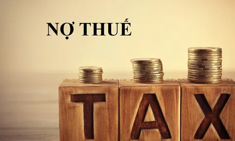 Doanh nghiệp bất động sản Vạn Thuận Phát nợ thuế hơn 67 tỷ: Có đáng lo ngại?