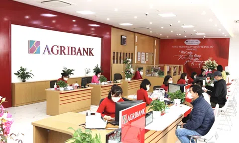 Những rủi ro nào được cảnh báo trong hoạt động cấp tín dụng của Agribank Sơn Tịnh?