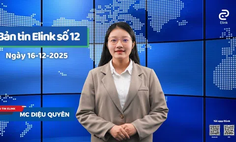 Môi giới bất động sản: Giấc mơ lớn giữa thực tế sàng lọc khắc nghiệt