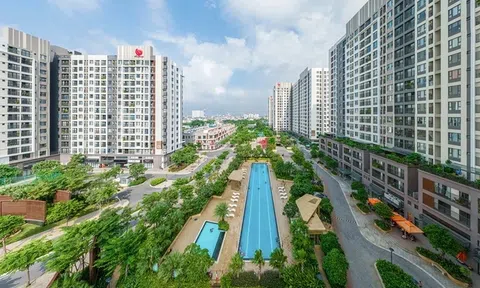 Vì sao Giám đốc Pi Home có nguy cơ bị tạm hoãn xuất cảnh?