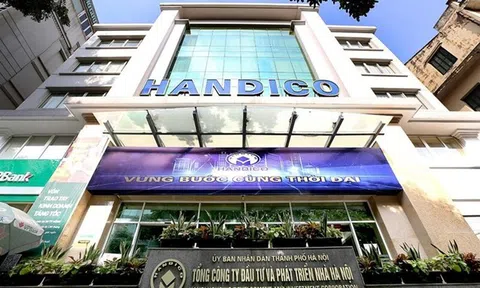 Thanh tra Chính phủ sẽ “soi” những gì tại HANDICO trong giai đoạn 2019–2025?