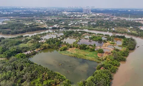 Nghịch lý thừa kế và rào cản pháp lý đối với đất thừa kế