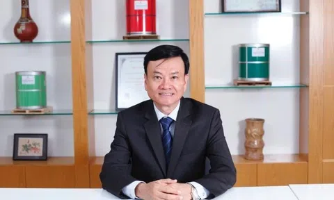 Tôn Đông Á bị phạt thuế hơn 7 tỷ đồng: Liệu còn rủi ro tài chính nào khác?