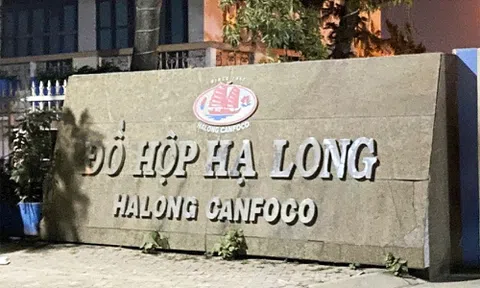 Điều gì đang kéo cổ phiếu Đồ hộp Hạ Long rơi thẳng xuống giá sàn?