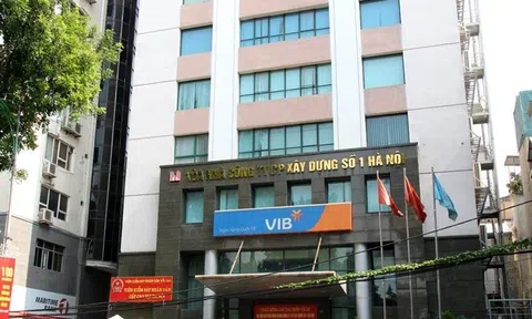 Vì sao Vinaconex 1 bị xử phạt và truy thu gần 2 tỷ đồng tiền thuế?