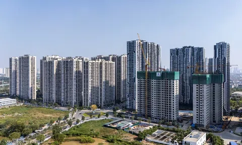 Hơn 75% giao dịch nhà ở đến từ nhóm khách hàng mua căn thứ hai trở lên