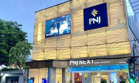 Những lỗ hổng nào trong quản trị khiến PNJP vi phạm quy định phòng, chống rửa tiền?