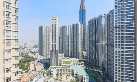 Tiêu thụ đất nền tăng mạnh quý cuối năm 2025