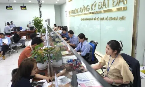 TP Hồ Chí Minh hoàn tất đồng bộ 100% dữ liệu đất đai lên cơ sở dữ liệu quốc gia