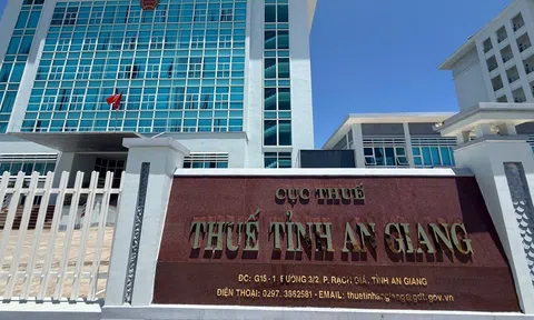 Vì sao Chi nhánh Công ty CP Hải Đăng tại An Giang nợ thuế hơn 2 tỷ đồng?