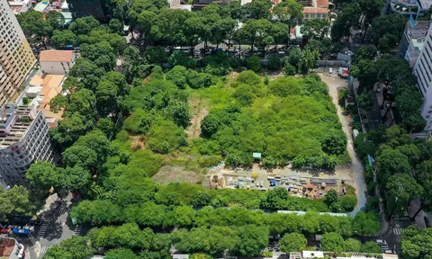 TP.HCM rà soát 1.087 trụ sở: Bao nhiêu khu đất công sẽ bị thu hồi?