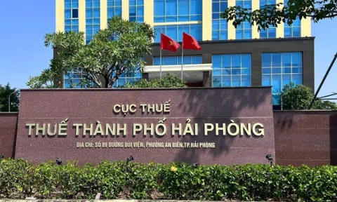 Nợ thuế quá 90 ngày, Công ty Cổ phần Vận tải Thủy bộ Trường Phát sẽ đối mặt những hệ lụy gì?