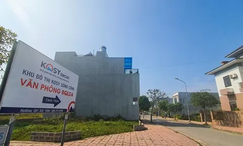 Tồn kho chiếm hơn nửa tài sản, Kosy (KOS) có đang phụ thuộc quá lớn vào bất động sản?