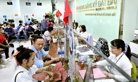 TP.HCM đặt mục tiêu hoàn thiện cơ sở dữ liệu đất đai trong tháng 12-2026