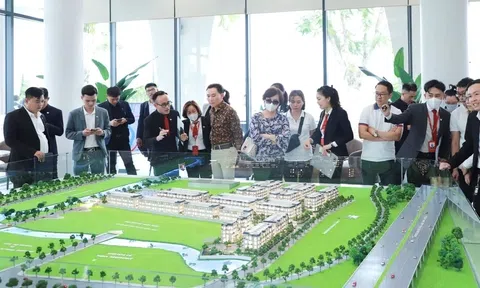 Chỉ 1,7% sàn giao dịch bất động sản tại TP.HCM có giấy phép