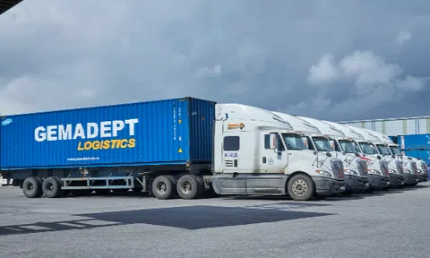 Doanh nghiệp liên quan Gemadept nợ thuế gần 5 tỷ đồng, tác động ra sao đến toàn hệ thống?