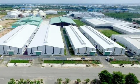 Vì sao Giám đốc Công ty Khu Công nghiệp Long An đứng trước nguy cơ bị tạm hoãn xuất cảnh?