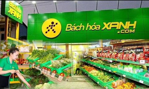 Doanh thu tăng trưởng mạnh, vì sao Bách Hóa Xanh vẫn có chi nhánh nợ thuế?