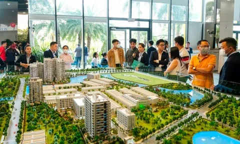 Doanh nghiệp bất động sản thành lập mới tăng mạnh