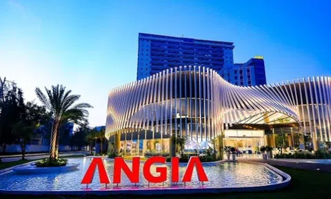 Dòng tiền âm nhưng lợi nhuận tăng: Điều gì đang diễn ra tại An Gia?