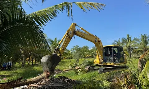 Cưỡng chế thu hồi gần 1ha đất rừng phòng hộ tại phú quốc